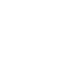 Shedd-Aquarium-Chicago